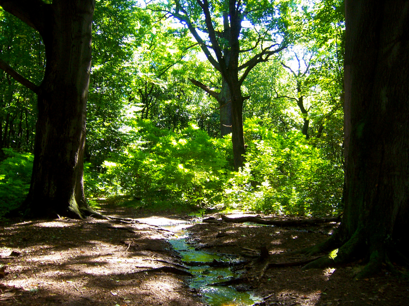 Historische Touren in der Dresdner Heide (1)