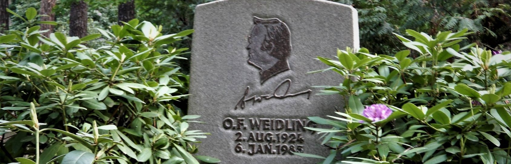 Über den Heidefriedhof